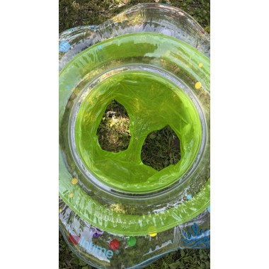 Надувной круг для плавания с трусиками для детей от 6 месяцев ЗЕЛЕНЫЙ Надувной круг для плавания с трусиками для детей от 6 месяцев ЗЕЛЕНЫЙ